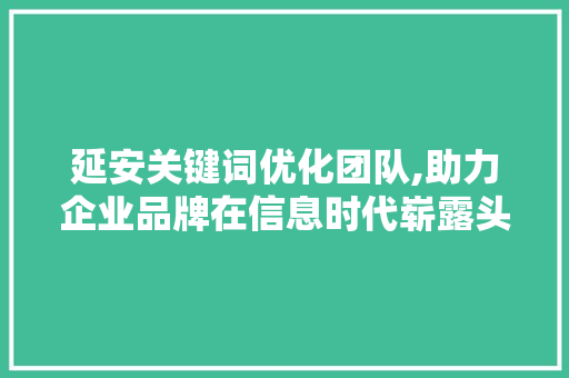 延安关键词优化团队,助力企业品牌在信息时代崭露头角 清洁保养