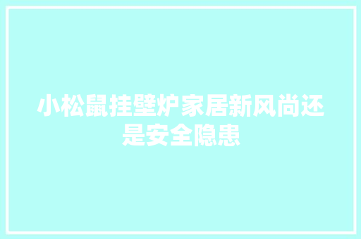 小松鼠挂壁炉家居新风尚还是安全隐患 洗衣机