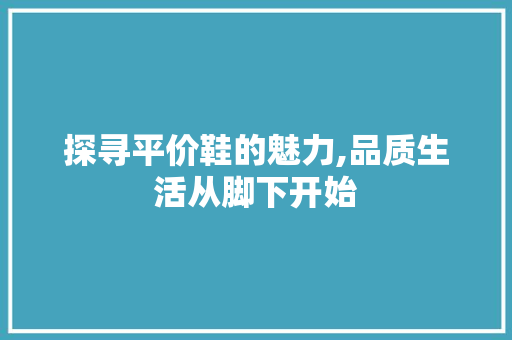探寻平价鞋的魅力,品质生活从脚下开始 热水器