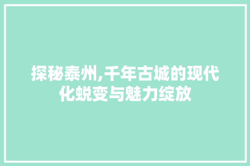 探秘泰州,千年古城的现代化蜕变与魅力绽放 洗衣机