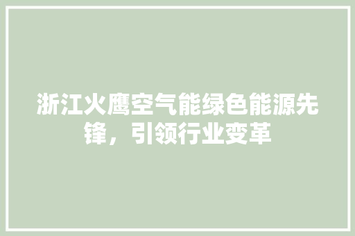 浙江火鹰空气能绿色能源先锋，引领行业变革 热水器