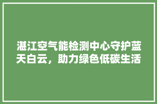 湛江空气能检测中心守护蓝天白云，助力绿色低碳生活 家居维修