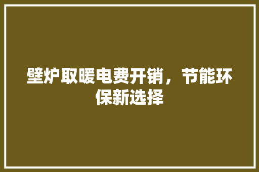 壁炉取暖电费开销，节能环保新选择 装修设计