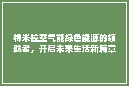 特米拉空气能绿色能源的领航者，开启未来生活新篇章 家电维护