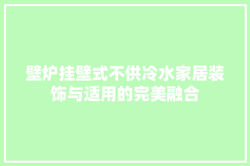壁炉挂壁式不供冷水家居装饰与适用的完美融合 洁具维修