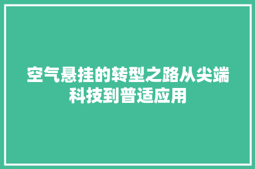 空气悬挂的转型之路从尖端科技到普适应用 清洁保养