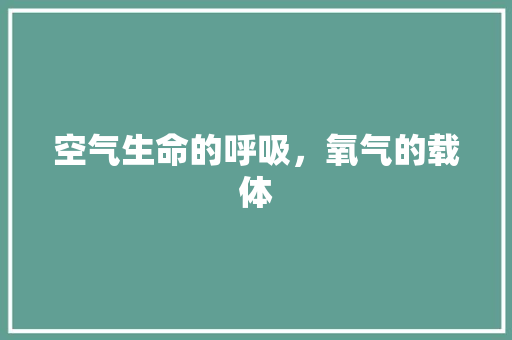 空气生命的呼吸，氧气的载体 贴膜