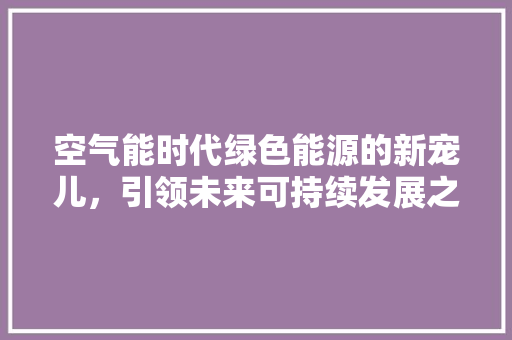 空气能时代绿色能源的新宠儿，引领未来可持续发展之路 清洁保养