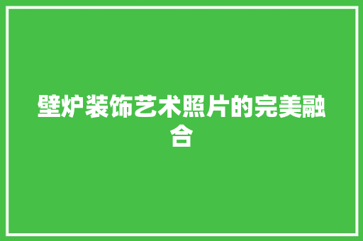 壁炉装饰艺术照片的完美融合 洗衣机