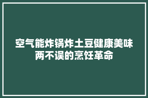 空气能炸锅炸土豆健康美味两不误的烹饪革命 洁具维修