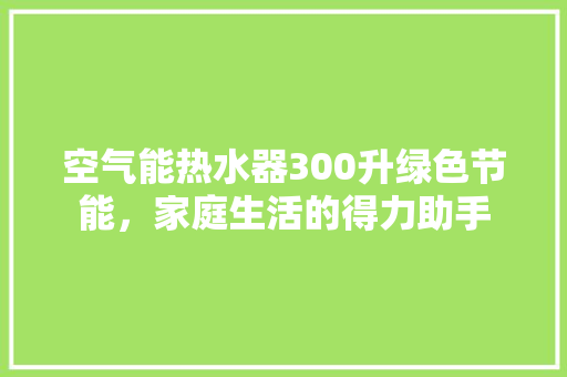 空气能热水器300升绿色节能，家庭生活的得力助手 家具修理