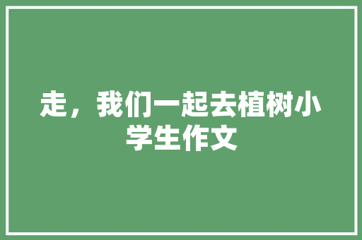 空气能热泵系统中止回阀的必要及其应用 洗衣机