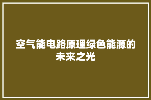 空气能电路原理绿色能源的未来之光 家电维护