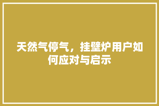 天然气停气，挂壁炉用户如何应对与启示 家具修理
