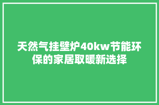 天然气挂壁炉40kw节能环保的家居取暖新选择 旧房改造