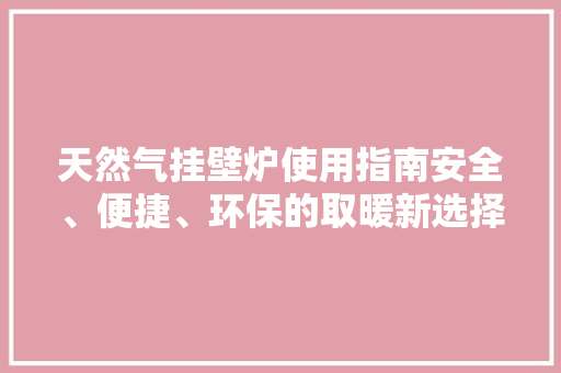 天然气挂壁炉使用指南安全、便捷、环保的取暖新选择 贴膜