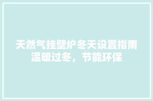 天然气挂壁炉冬天设置指南温暖过冬，节能环保 清洁保养