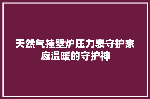 天然气挂壁炉压力表守护家庭温暖的守护神 洗衣机