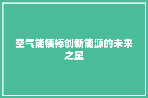 空气能镁棒创新能源的未来之星 家电维护