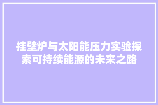 挂壁炉与太阳能压力实验探索可持续能源的未来之路 家电维护