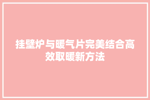挂壁炉与暖气片完美结合高效取暖新方法 龙头管件
