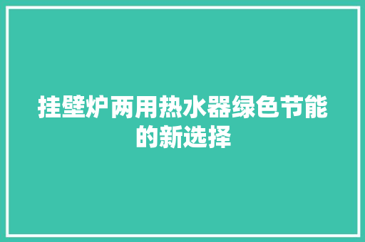挂壁炉两用热水器绿色节能的新选择 灯具安装