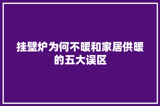 挂壁炉为何不暖和家居供暖的五大误区 旧房改造