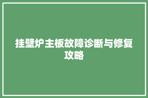 挂壁炉主板故障诊断与修复攻略 水电维修