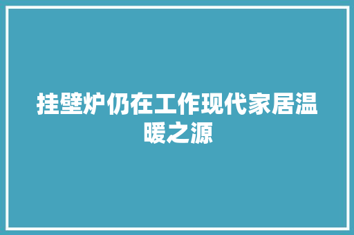 挂壁炉仍在工作现代家居温暖之源 灯具安装