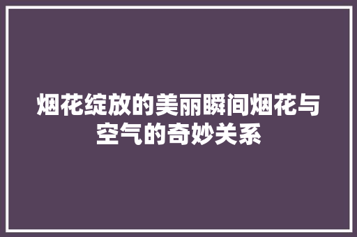 烟花绽放的美丽瞬间烟花与空气的奇妙关系 贴膜