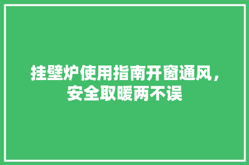 挂壁炉使用指南开窗通风，安全取暖两不误 旧房改造