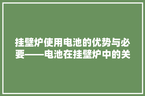 挂壁炉使用电池的优势与必要——电池在挂壁炉中的关键作用 家电维护