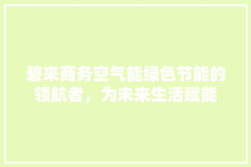 碧来商务空气能绿色节能的领航者，为未来生活赋能 装修设计