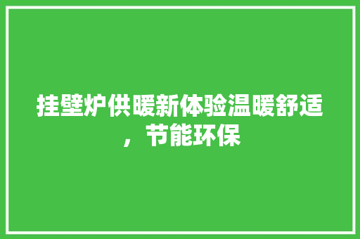 挂壁炉供暖新体验温暖舒适，节能环保 翻新改色