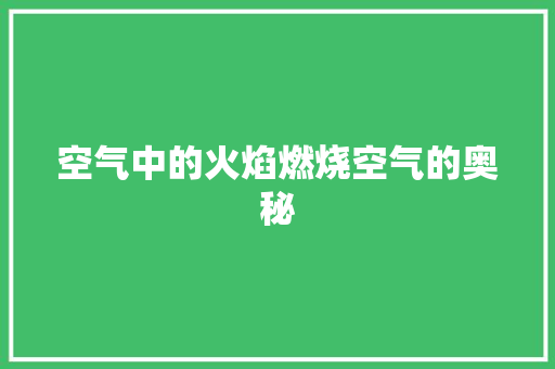 空气中的火焰燃烧空气的奥秘 冰箱
