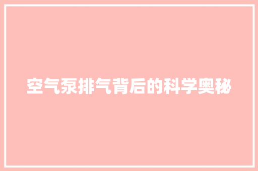 空气泵排气背后的科学奥秘 局部翻新
