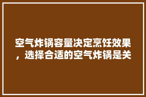 空气炸锅容量决定烹饪效果，选择合适的空气炸锅是关键 局部翻新
