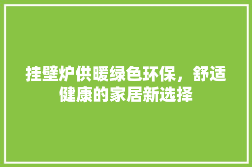 挂壁炉供暖绿色环保，舒适健康的家居新选择 洁具维修