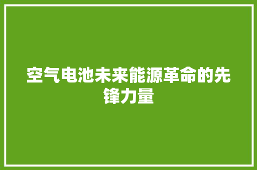 空气电池未来能源革命的先锋力量 清洁保养