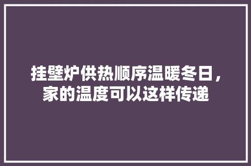 挂壁炉供热顺序温暖冬日，家的温度可以这样传递 洗衣机