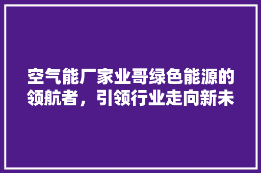 空气能厂家业哥绿色能源的领航者，引领行业走向新未来 翻新改色