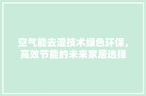 空气能去湿技术绿色环保，高效节能的未来家居选择 洗衣机