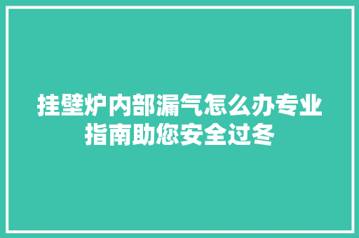 挂壁炉内部漏气怎么办专业指南助您安全过冬 水电维修