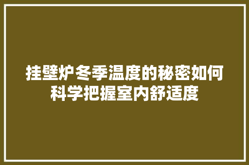 挂壁炉冬季温度的秘密如何科学把握室内舒适度 贴膜