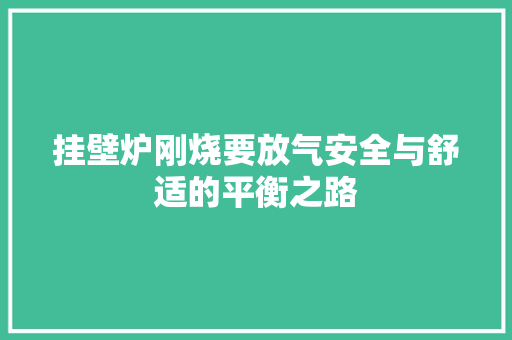 挂壁炉刚烧要放气安全与舒适的平衡之路 水电维修