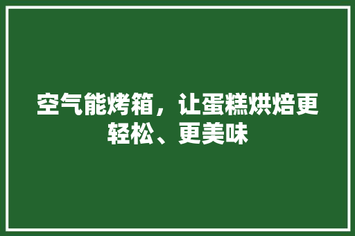 空气能烤箱，让蛋糕烘焙更轻松、更美味 冰箱
