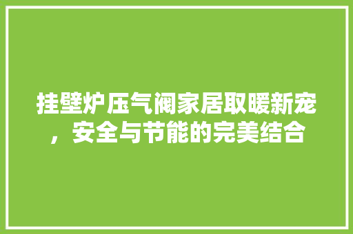 挂壁炉压气阀家居取暖新宠，安全与节能的完美结合 家居维修