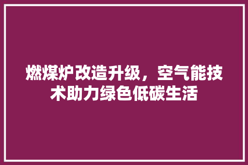 燃煤炉改造升级，空气能技术助力绿色低碳生活 家具修理