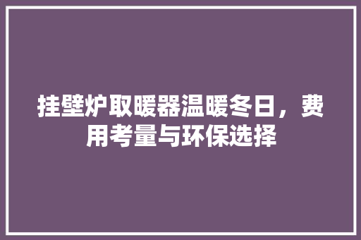 挂壁炉取暖器温暖冬日，费用考量与环保选择 龙头管件