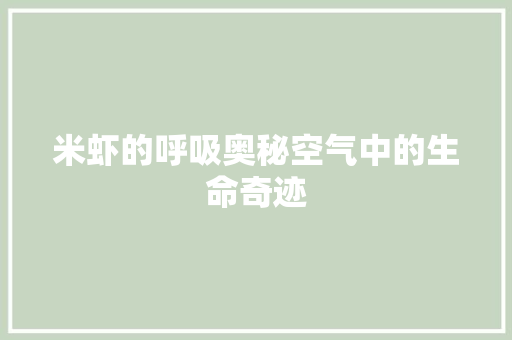 米虾的呼吸奥秘空气中的生命奇迹 灯具安装